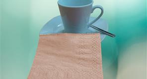 PK20 Servilletas Cenefa 20x20 plg 1/4-6000und