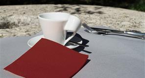 PM20BU Servilletas Cenefa 20x20 plg 1/4-6000und