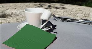 PM20VE Servilletas Cenefa 20x20 plg 1/4-6000und