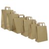 Bolsas de Papel Asa Plana Kraft 80g_m² 22+10x28cm (250 Uds) Bolsas Kraft Asa plana (26+20X28cm) 250und