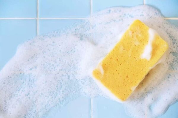 descargar (2) Estropajo fibra verde Salvauñas-6und